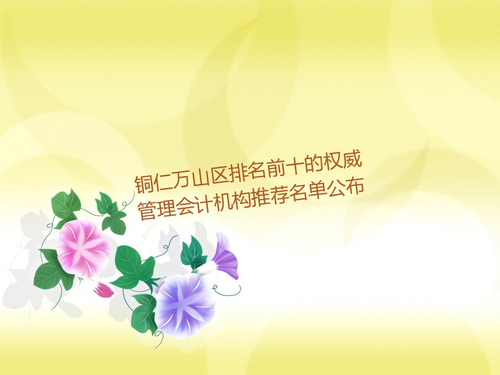 铜仁万山区排名前十的权威管理会计机构推荐名单公布