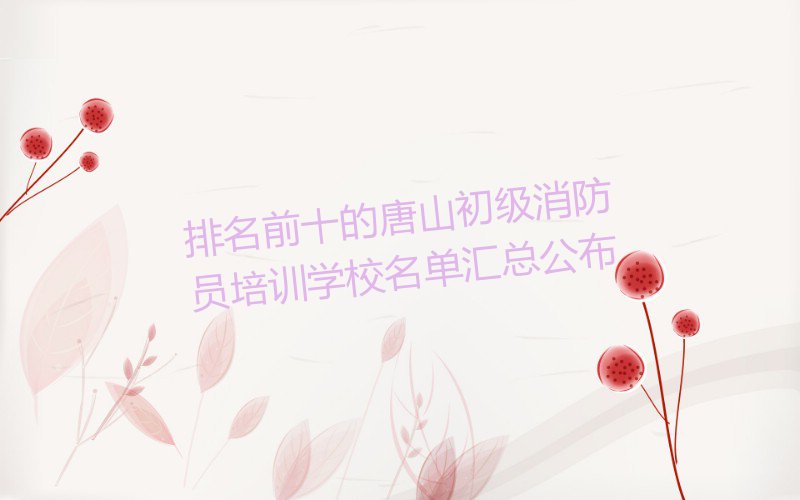 初级消防员