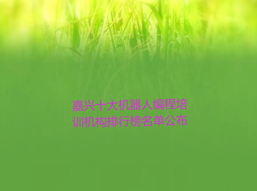 嘉兴少儿编程培训学校