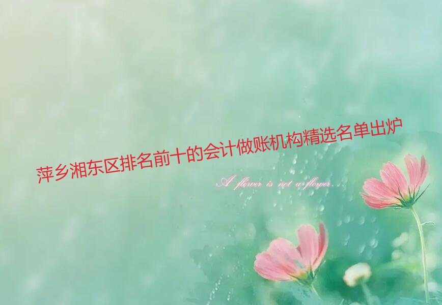萍乡湘东区排名前十的会计做账机构精选名单出炉