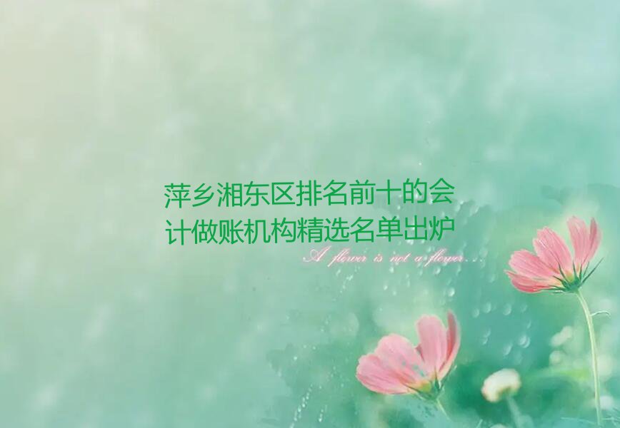 萍乡湘东区排名前十的会计做账机构精选名单出炉