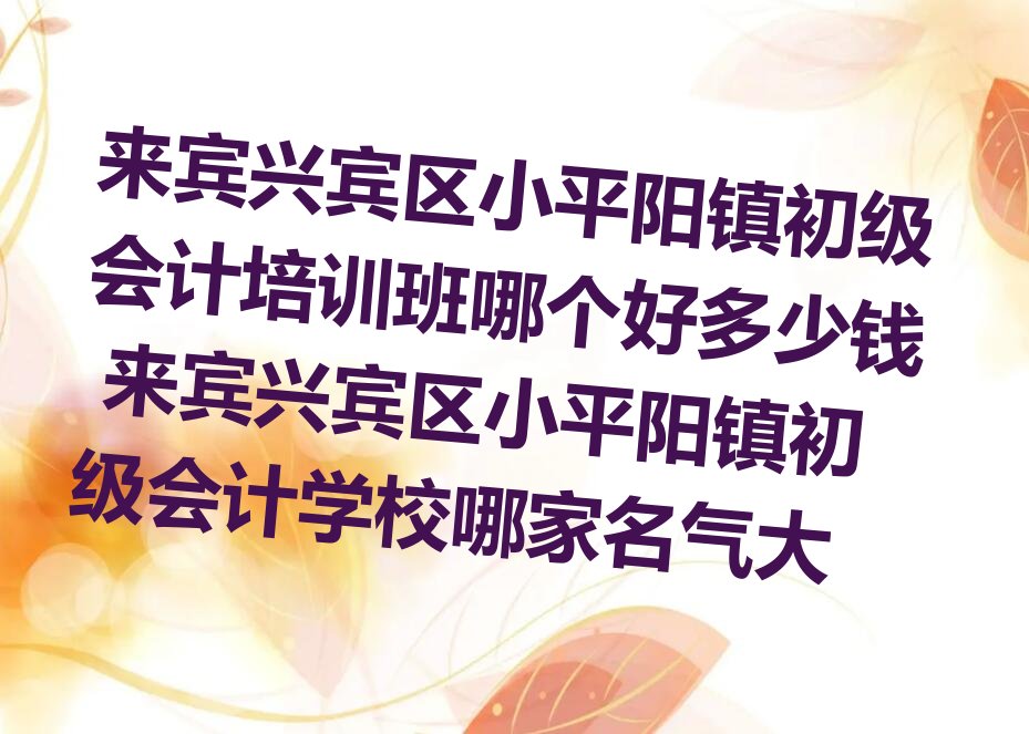 来宾兴宾区小平阳镇初级会计培训班哪个好多少钱 来宾兴宾区小平阳镇初级会计学校哪家名气大