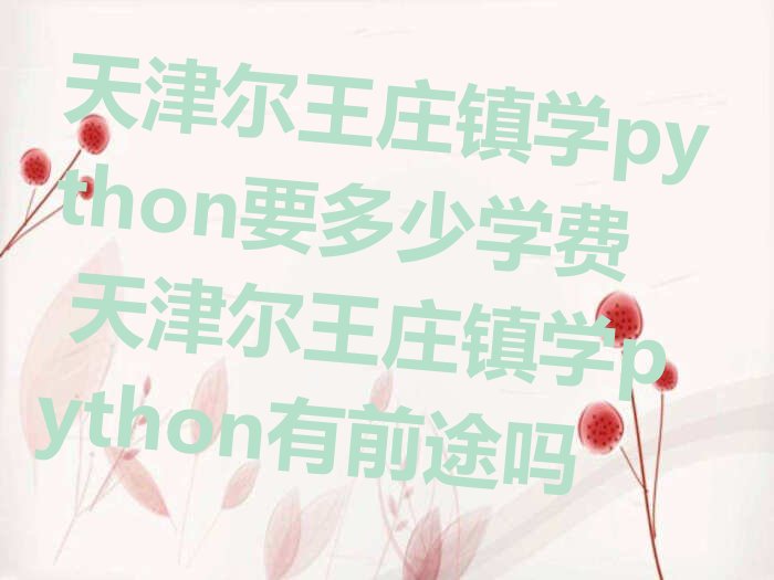 天津尔王庄镇学python要多少学费 天津尔王庄镇学python有前途吗
