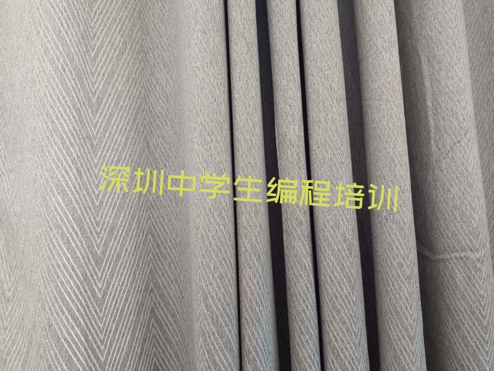 深圳盐田区少儿编程培训学校