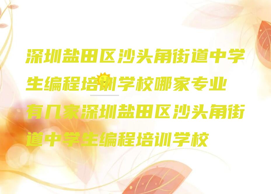 中学生编程