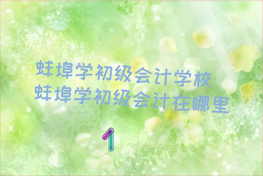 蚌埠学初级会计学校 蚌埠学初级会计在哪里