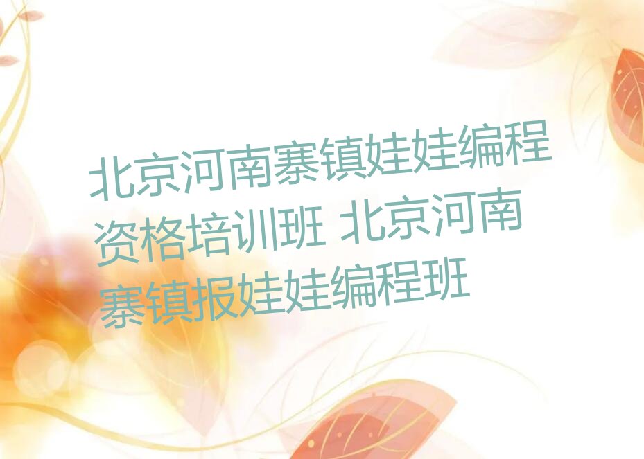 娃娃编程