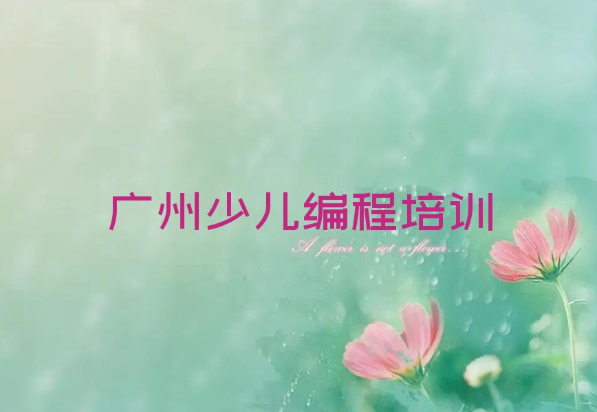 广州花都区少儿编程培训学校