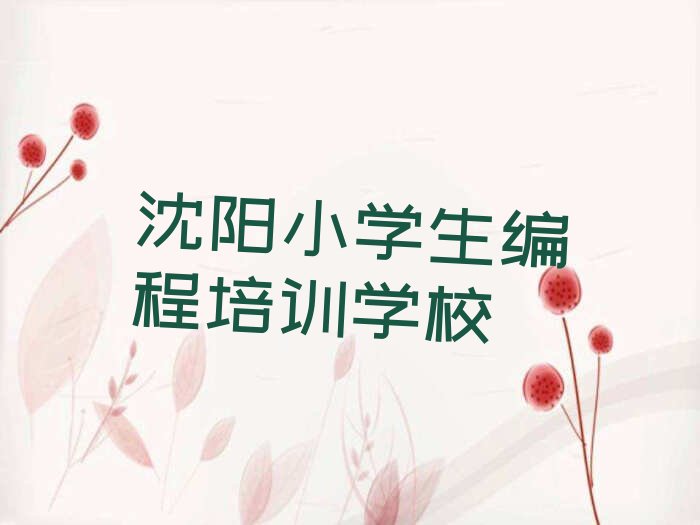 沈阳小学生编程培训学校