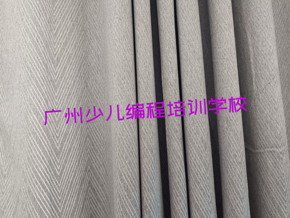 广州少儿编程培训学校