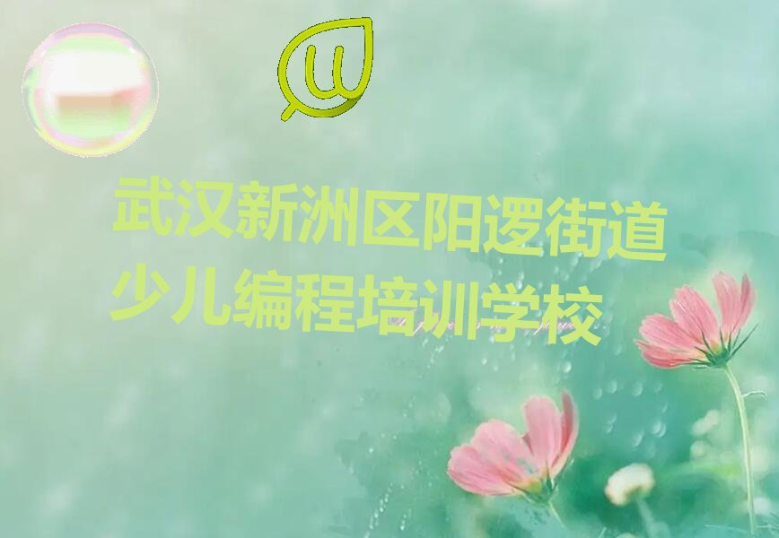 武汉新洲区阳逻街道少儿编程培训学校