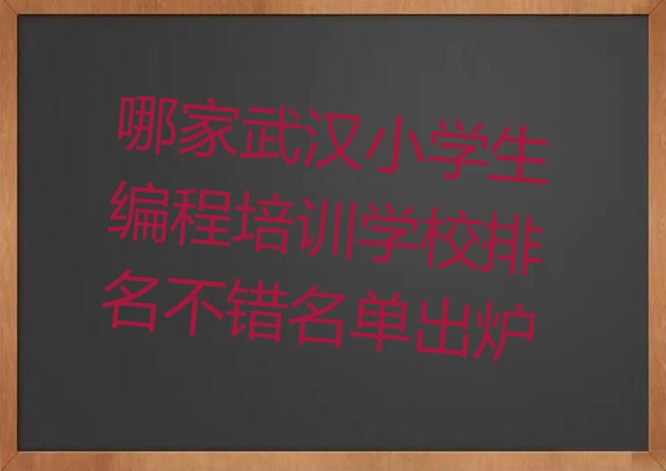 小学生编程