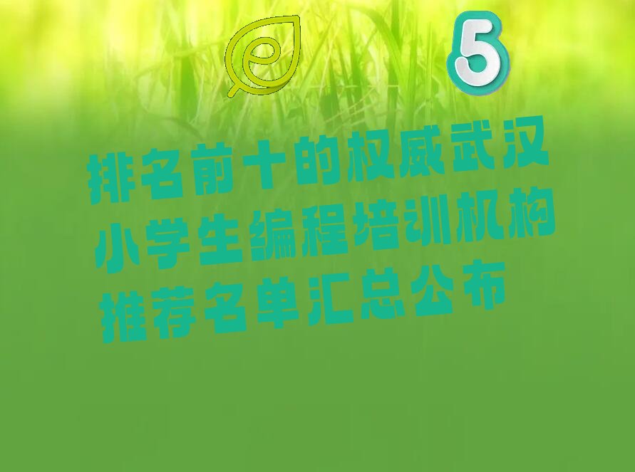 排名前十的权威武汉小学生编程培训机构推荐名单汇总公布