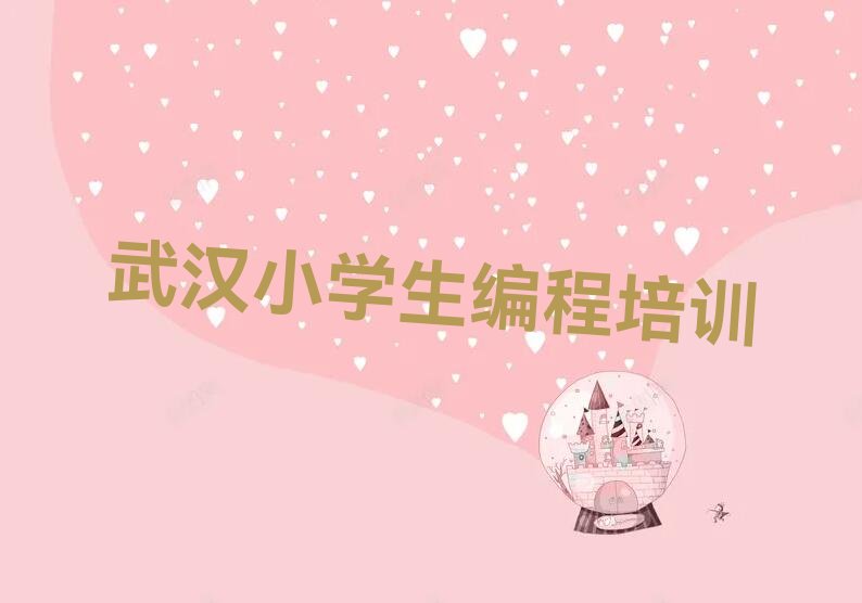 武汉蔡甸区小学生编程培训学校