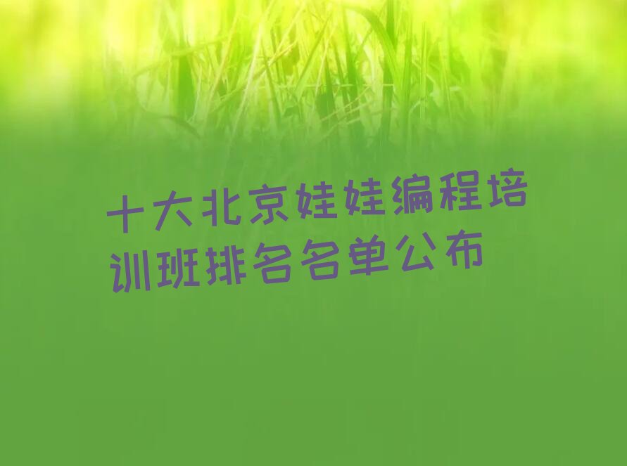 十大北京娃娃编程培训班排名名单公布