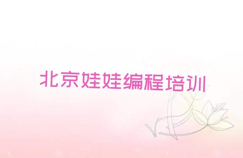 北京朝阳区六里屯少儿编程培训学校