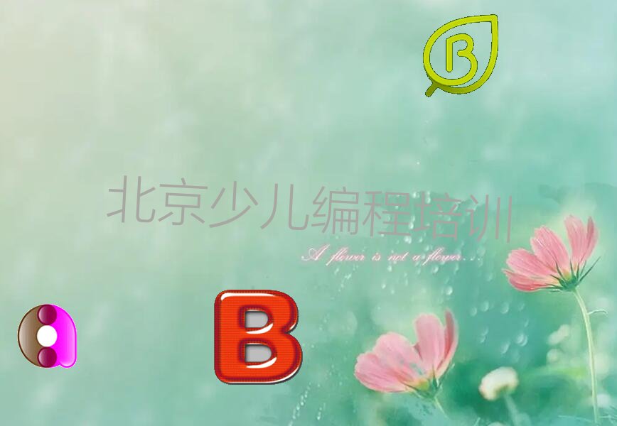娃娃编程