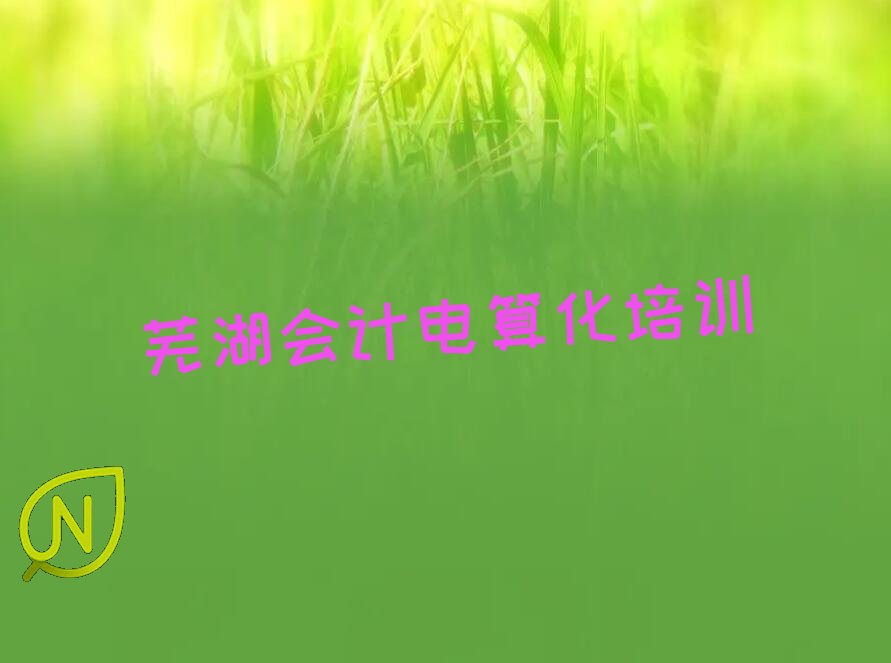芜湖鸠江区十大会计电算化培训机构排行榜精选名单出炉