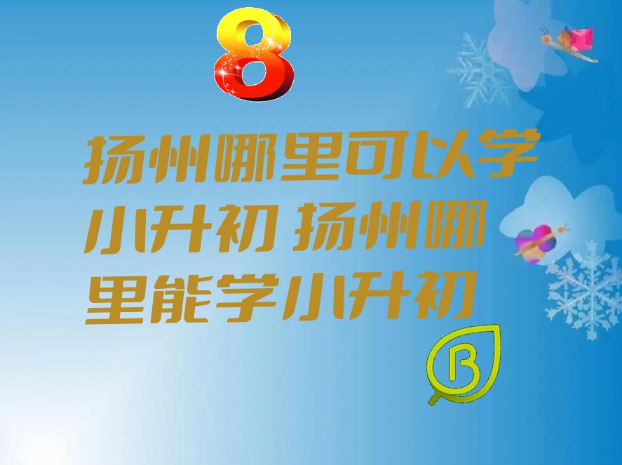 扬州哪里可以学小升初 扬州哪里能学小升初