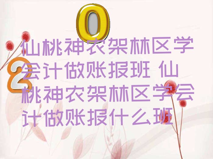 仙桃神农架林区学会计做账报班 仙桃神农架林区学会计做账报什么班
