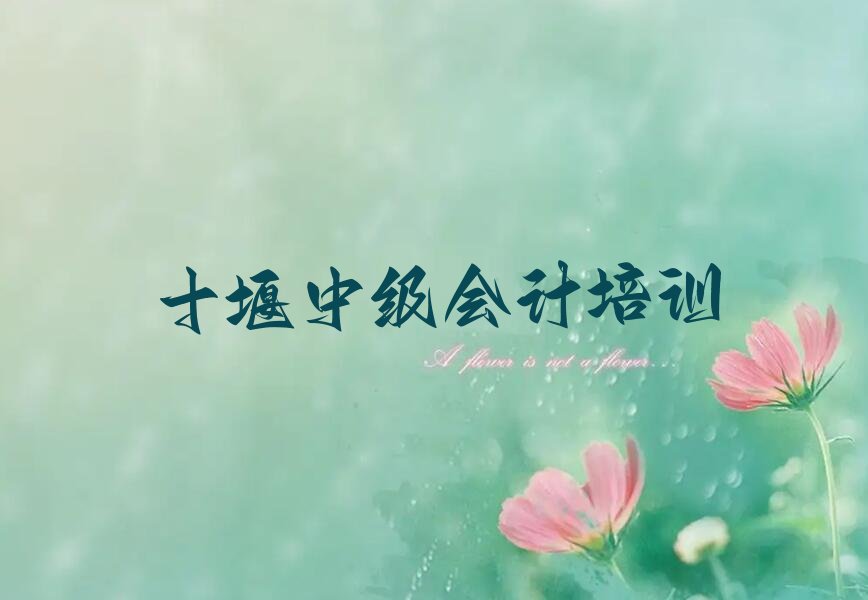 十堰茅箭区中级会计培训班排行榜前十名有哪些好