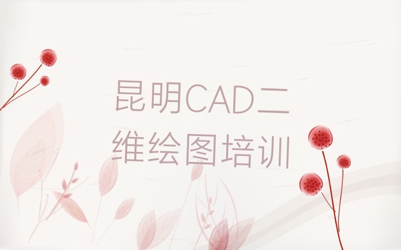CADάͼѡĸCADάͼѵ