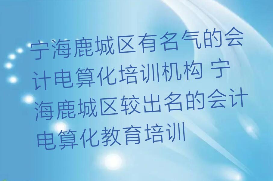 会计电算化