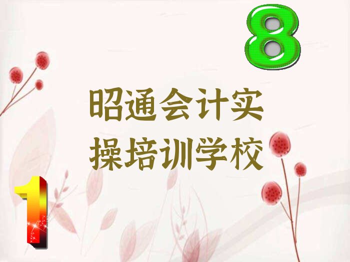 昭通昭阳区学会计实操需要多少钱多久学会