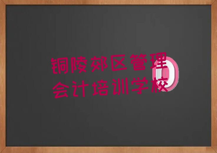 铜陵附近管理会计培训机构