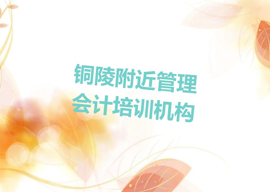 铜陵附近管理会计培训机构