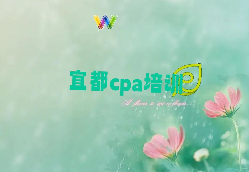 2023年宜都学cpa去哪个学校