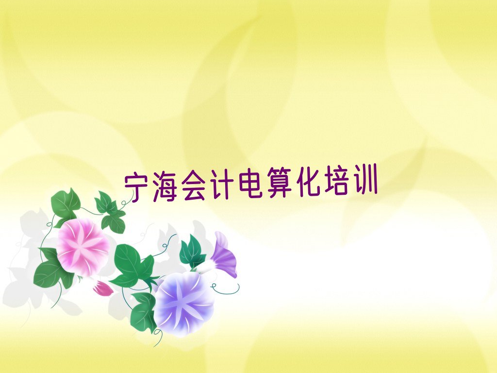 会计电算化
