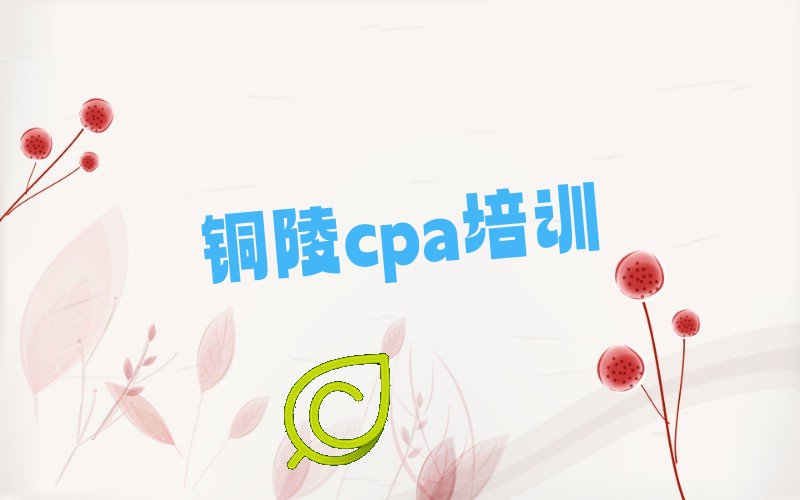 2023ͭcpaѵ