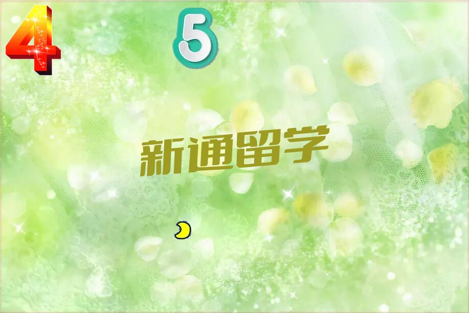新通留学
