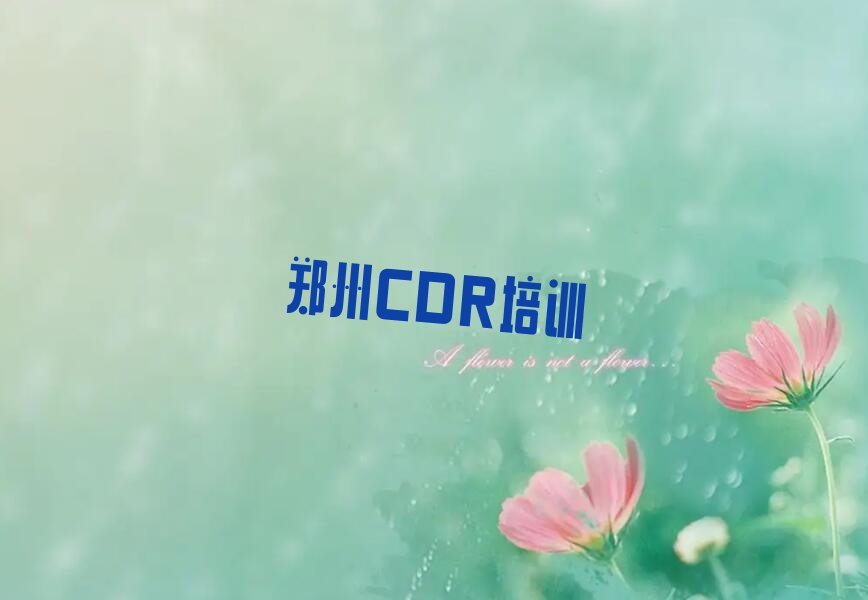 2023Ͻօ^(q)ЌWCDR