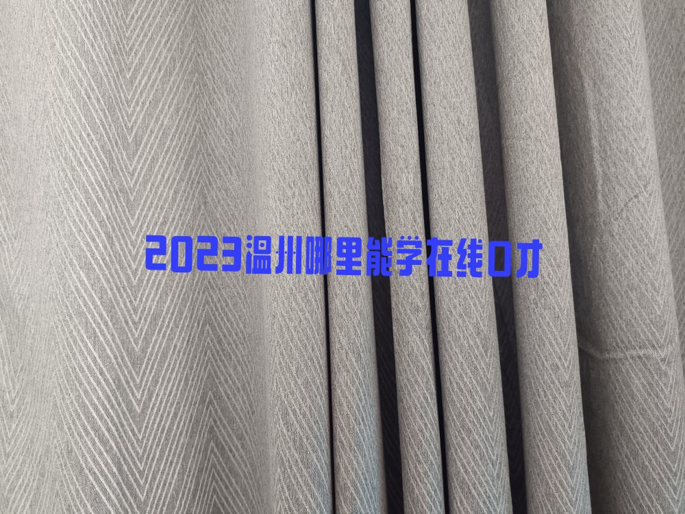 2023温州哪里能学在线口才