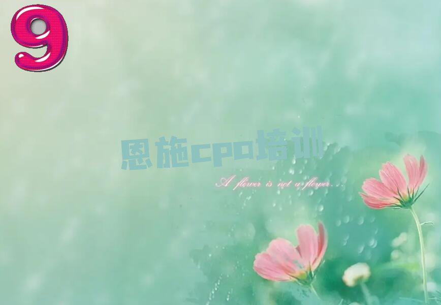 2023ʩcpaѵǮ