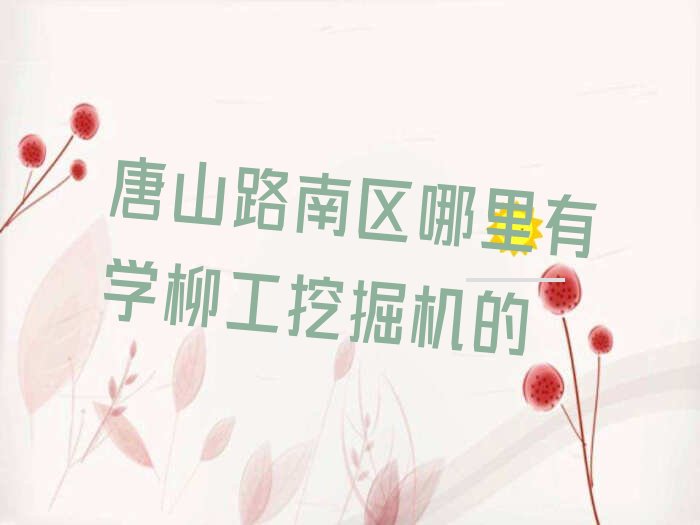 唐山路南区哪里有学柳工挖掘机的