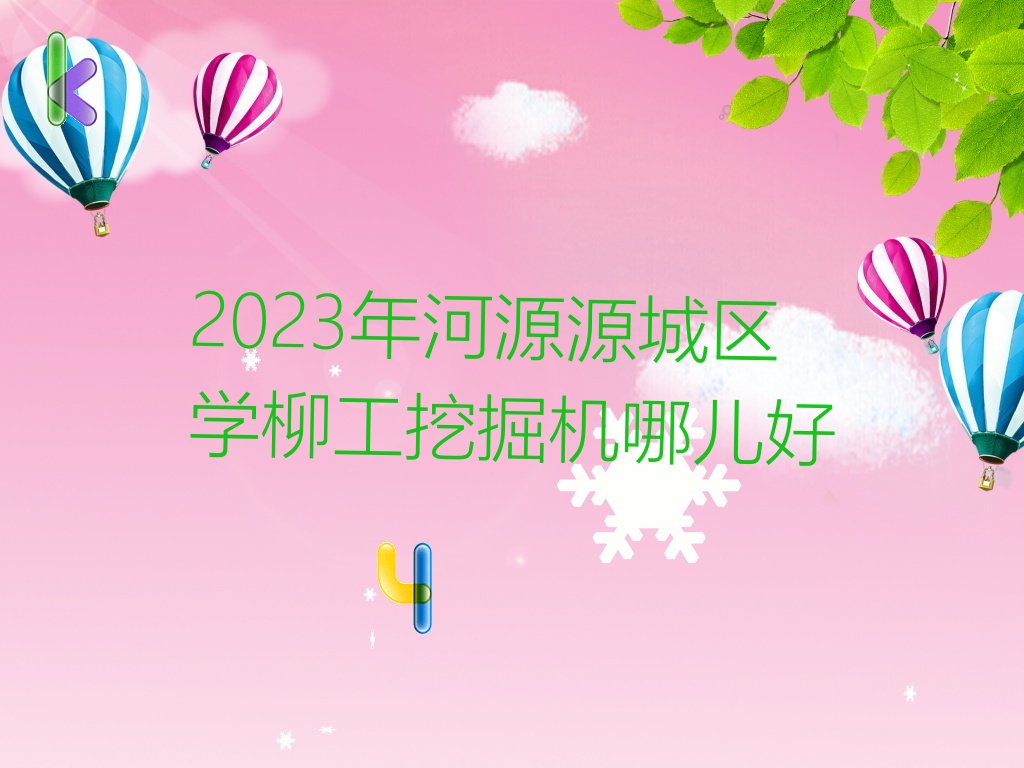 河源源城区柳工挖掘机培训学校