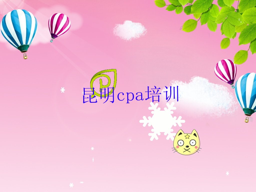 2023ѧcpa