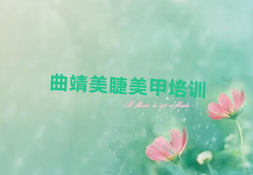 曲靖马龙区美睫美甲培训学校