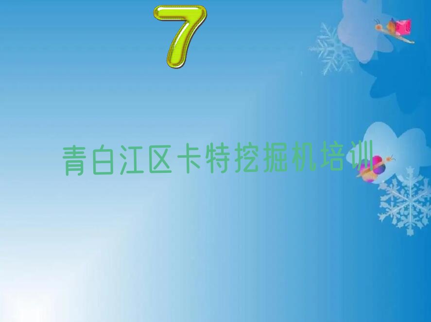 青白江区七星关区卡特挖掘机培训学校