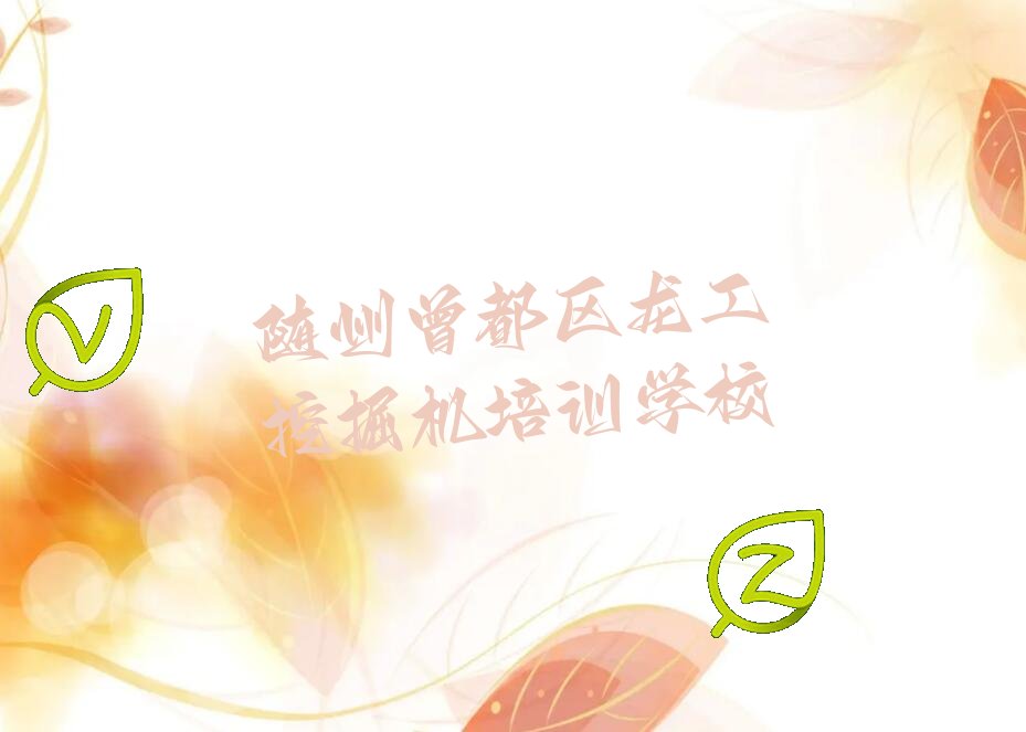 随州龙工挖掘机培训机构有哪些哪个好