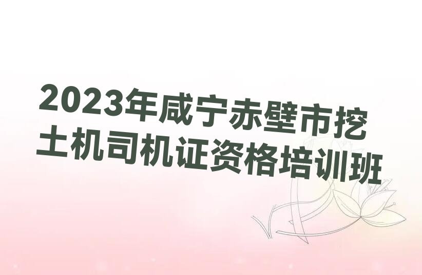 2023˾֤ʸѵ