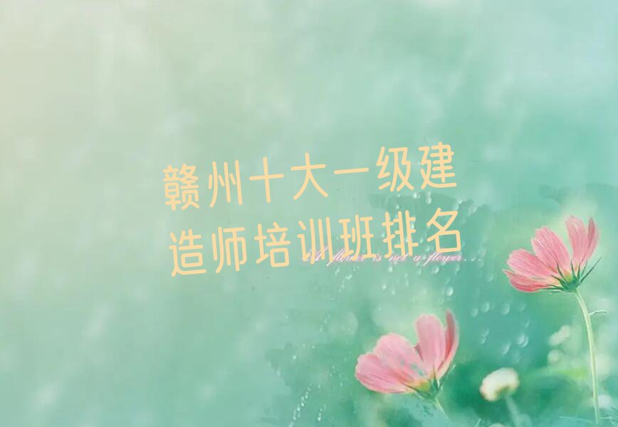 ʮһʦѵ