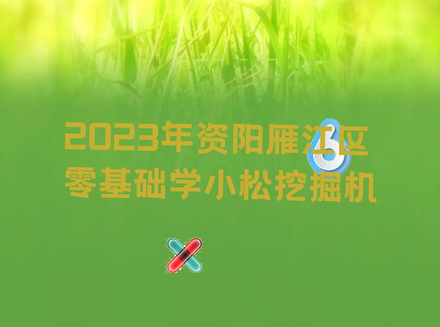 2023年资阳雁江区零基础学小松挖掘机