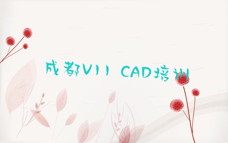 ɶרҵV11 CADѵ