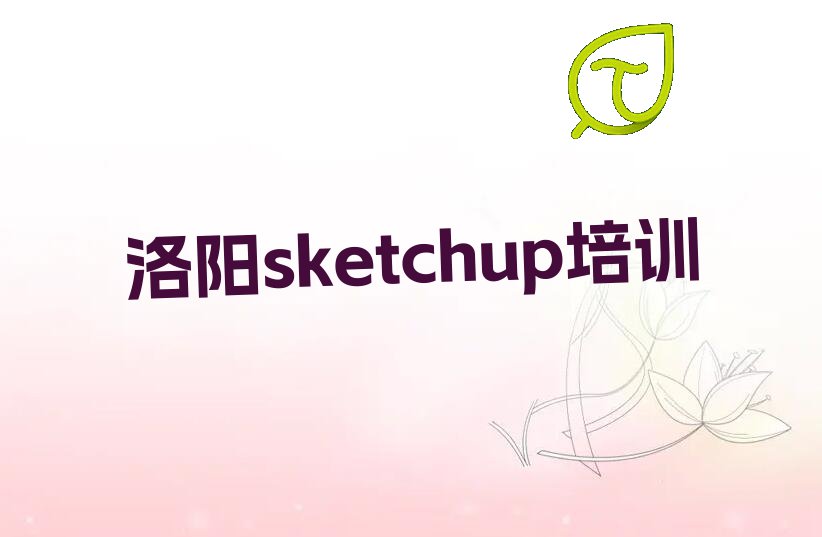 2023ѧsketchupʲô
