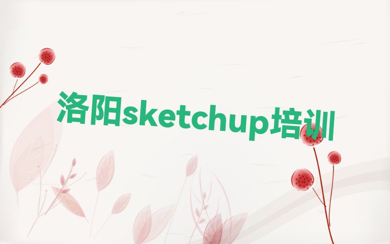 2023ѧsketchupʲô